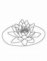 Lily Water Drawing Coloring Print sketch template