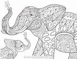 Elephant Coloring Adult Pages Baby Printable Mandala Adults Coloringgarden Animal Colouring Elephants Book Animals Sheets Visit Getdrawings Description Patterns sketch template