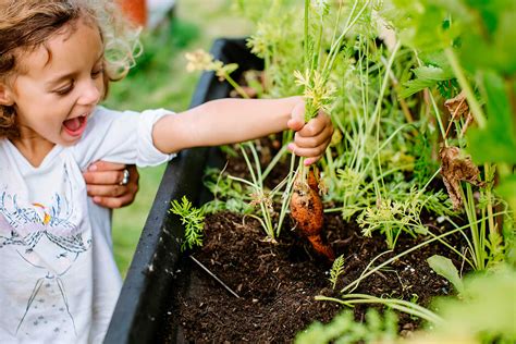 6 Beneficios De La Jardinería Para Niños – Colegios Cruz Saco
