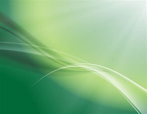 soft green abstract background vector  vector graphics