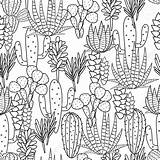 Cactus Succulents Pattern Botanical Plant Illustration Vector Seamless Drawing Print Fabric Stock Flora Getdrawings Depositphotos sketch template