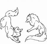 Wolf Fight Fighting Drawing Wolves Getdrawings sketch template