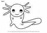 Axolotl Draw Kids Drawing Step Animals Learn Tutorials Getdrawings Drawings sketch template