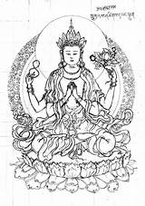 Yin Guanyin Coloring Pages Four Hands Kwan Deviantart Buddha Template Buddhist sketch template