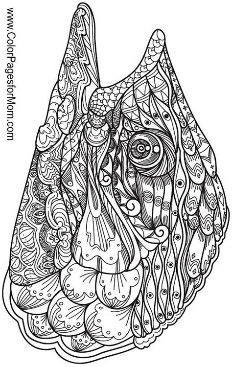 animal coloring page  coloring pages animal coloring pages animals