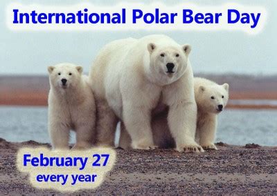 celebrate international polar bear day february  nonstop celebrations