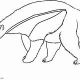 Anteater Pages Giant Ants sketch template