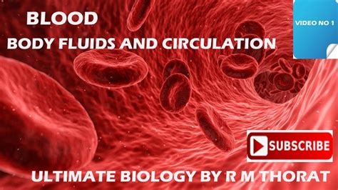 blood body fluids  circulation ultimate biology    thorat youtube