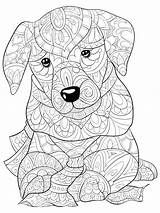 Dog Leuk Activiteit Volwassen Stijlillustratie Ontspannen Kleurende Cute Relaxing sketch template
