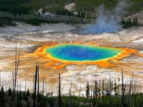 10 Interesting Yellowstone National Park Facts My