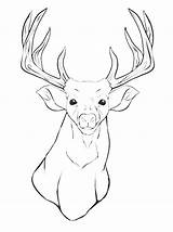 Coloring Deer Head Pages Printable Mule Reindeer Animal Buck Drawing Silhouette Whitetail Getcolorings Clipart Antler Outline Adult Skull Tail Kids sketch template
