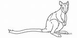 Wallaby Tailed Marsupial Ks1 Rgb sketch template