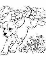 Coloring Pages Dogs Realistic Dog Kids Print Animal Puppy Them Online Sheets Visit sketch template