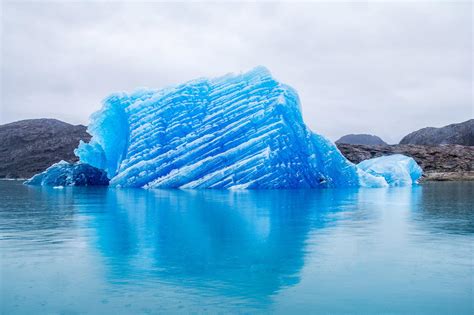 greenland blue ice  arctic life