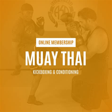 Muay Thai Kickboxing Online Academy Of Self Defense