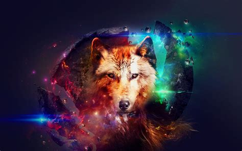 galaxy wolf wallpapers top  galaxy wolf backgrounds wallpaperaccess