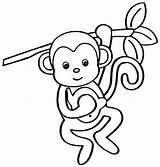 Macaco Colorir Desenhos sketch template