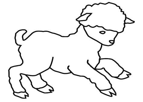 sheep coloring page   clipart  clipart