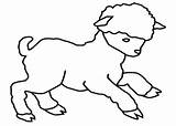 Lamb Sheep Coloring Drawing Kids Clip Clipart Outline Drawings Para Colorear Zone Cordero Pages Dibujos Cliparts Childrens Clipartbest Fun Gif sketch template