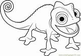 Chameleon Coloring Pages Getdrawings sketch template