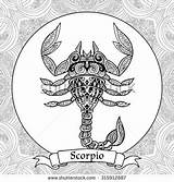 Scorpio Zodiac Zentangle sketch template