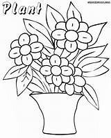 Plant Coloring Pages Plants Colorings Pot sketch template