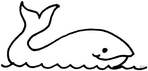 whale outline drawing  getdrawings