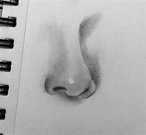 attempt    realistic nose rdrawing