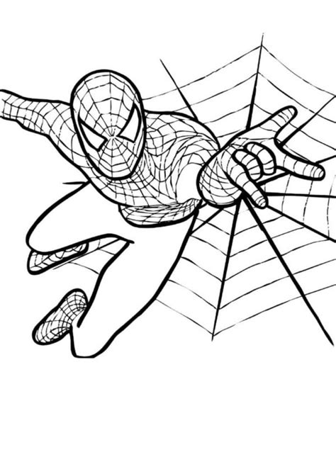 desenhos  homem aranha  colorir imprima super heroi