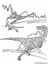Velociraptor Jurassic Raptor Coloriage Dinosaurs Ausmalbilder Dinossauro Colorir Dinosaurier Dinosaurios Ausmalbild Dinosaure Dino Desenhos Dinosaurio Supercoloring Stampare Dinosauri Ausdrucken Disegnare sketch template
