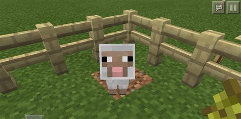 minecraft sheep blank template imgflip