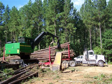 timber harvest gallery log creek timber management  wood buyers