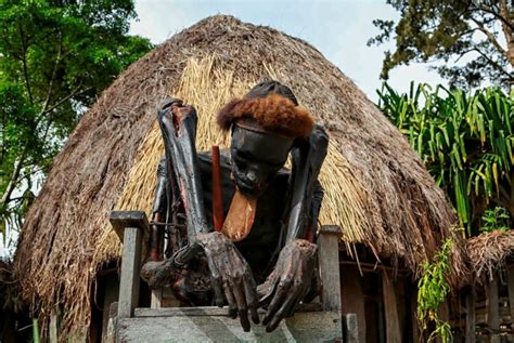 mumi leluhur suku dani disimpan rumah honai dikeluarkan upacara