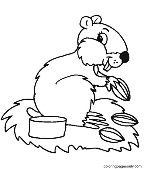 hamster coloring pages coloring pages  kids  adults