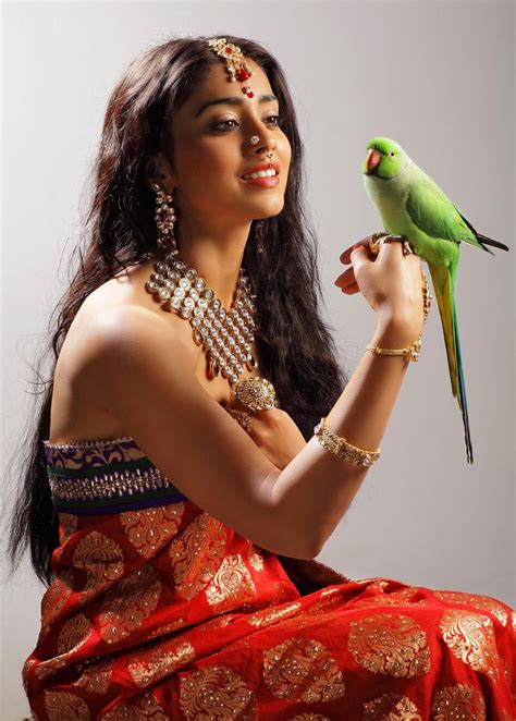 shriya in sexy saree hot looks photo gallery