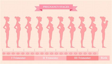 The Pregnancy Journey Bonprix The Blog