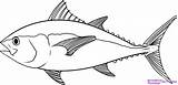 Tuna Fish Drawing Coloring Draw Bluefin Step Yellowfin Outline Pages Real Animals Drawings Clipart Online Clip Stencil Gadget Collections Clipartbest sketch template