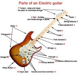 parts   guitar guitar diagrams