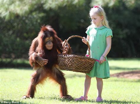 emily bland 6 and best friend rishi the orangutan are forced to say
