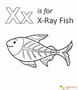 Coloring Fish Xray Pages Letter Printable Ray Color Kids Playinglearning Sheets Preschool Sheet Uppercase Lowercase Through Book Animal Choose Board sketch template
