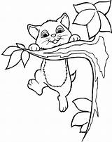 Climbing Coloring Pages Tree Clipart Cat Colouring Kids Animals Hang Cats Trees Kitty Sheets Clip Cliparts Patterns Animal Book Tabby sketch template