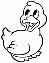 Cartoon Baby Ducks Duck Coloring Pages Clipart Printable sketch template