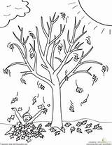 Tree Autumn Fall Drawing Coloring Pages Clipart Kids Bare Leaves Falling Worksheet Trees Easy Sheets Color Printable Colouring Drawings Activities sketch template