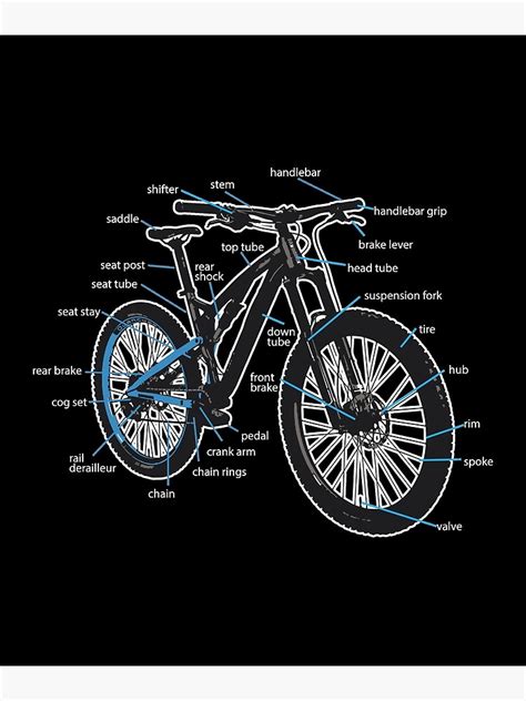 bicycle parts diagram ubicaciondepersonascdmxgobmx