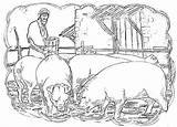 Prodigal Parable Prodical Swine Bestcoloringpagesforkids Pigs Himself Hired Citizens sketch template