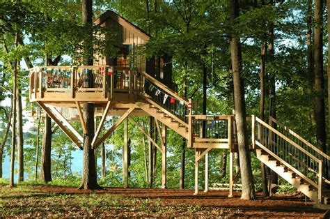 treehouse architecture top  tree house ideas  inspires
