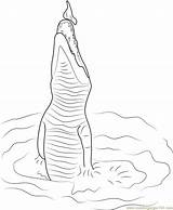 Crocodile Jumping Coloring Pages Drawing Crocodiles Coloringpages101 Printable Getdrawings sketch template