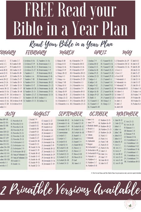 printable read  bible   year plan printable templates