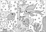 Pesci Poissons Peces Ryby Fishes Fische Kolorowanka Akwariowe Adulti Trois Druku Erwachsene Malbuch Coloriages Justcolor Coloriage Rybki Jolis Adults Pleines sketch template