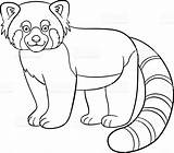 Panda Red Coloring Pages Drawing Realistic Cute Vector Webkinz Color Printable Smiles Little Print Drawings Illustrations Stock Getdrawings Clip Getcolorings sketch template